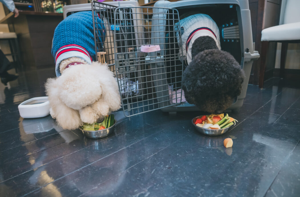 パーティー画像2