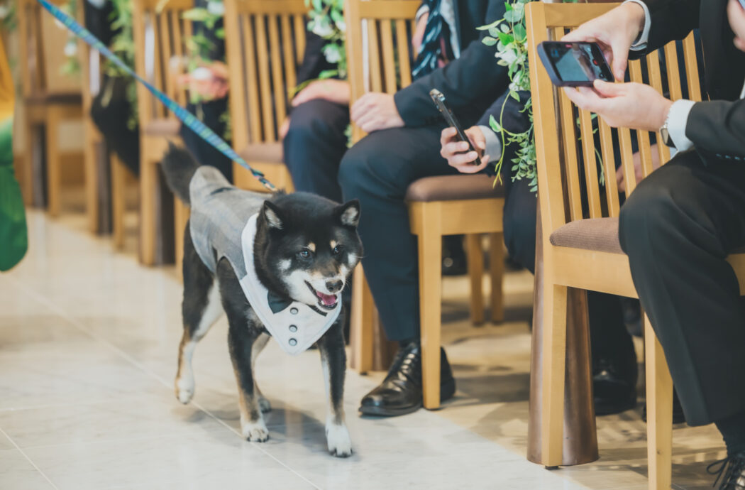 セレモニー画像3